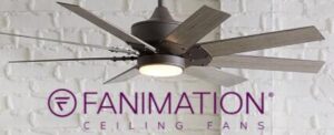 world's leading ceiling fan brands Fanimation