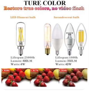  LiteHistory E12 led bulb for best ceiling fans